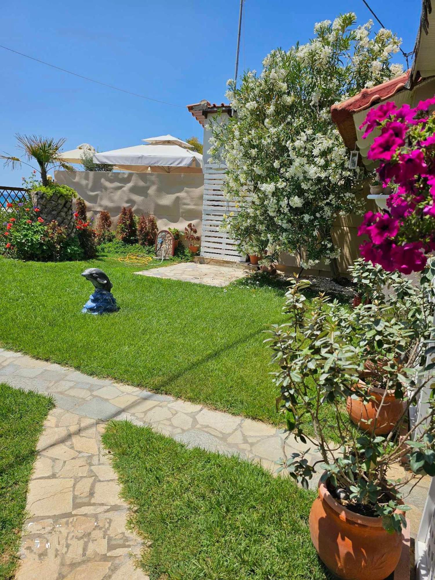 Sea Breeze 2 Apartman Limenária Kültér fotó